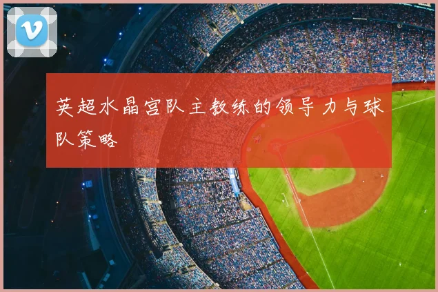 英超水晶宫队主教练的领导力与球队策略