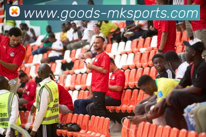 MK体育APP 封面图